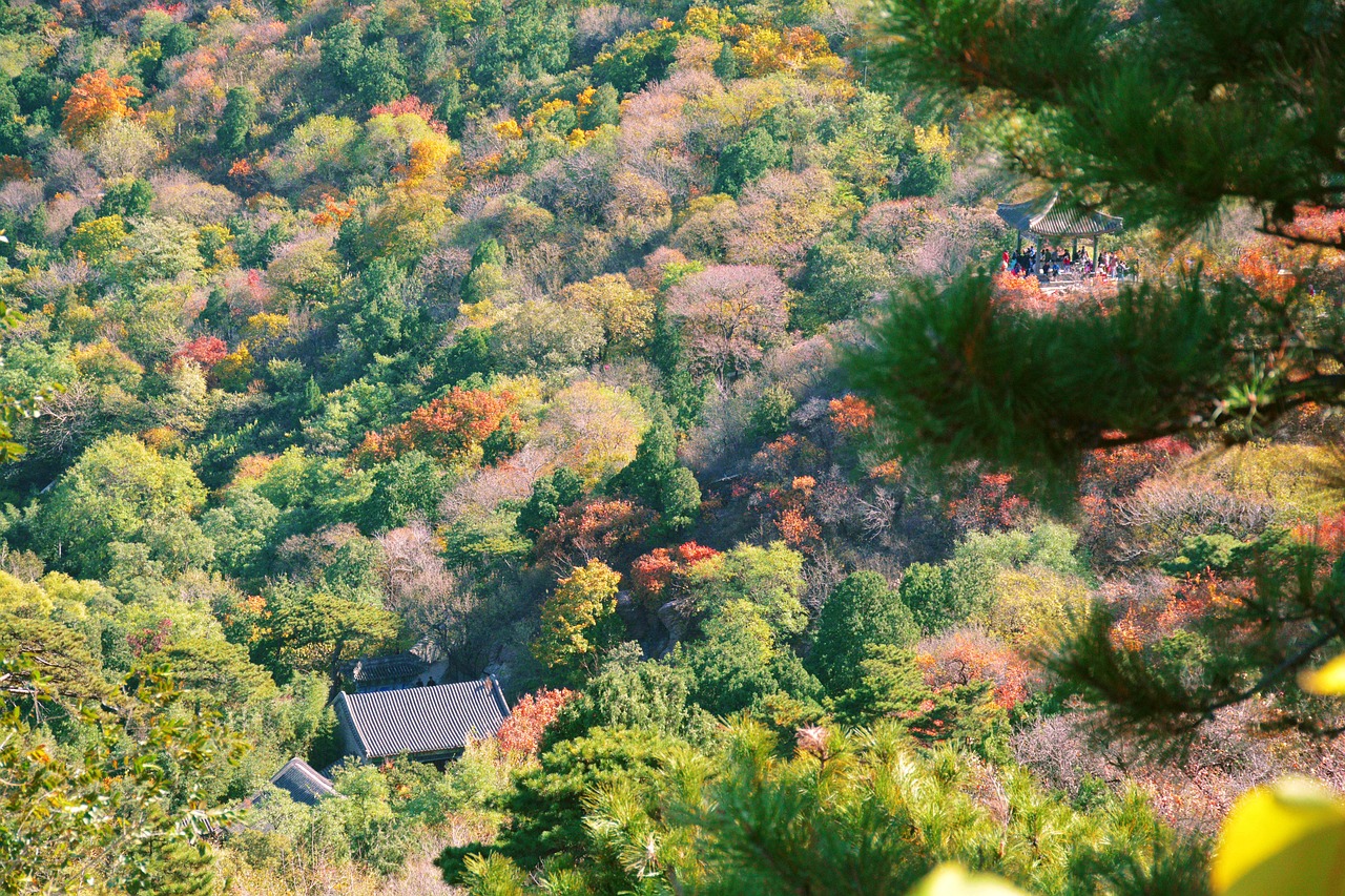 成都天台山景区门票详解